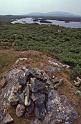 WT 2900 344-32 Ireland